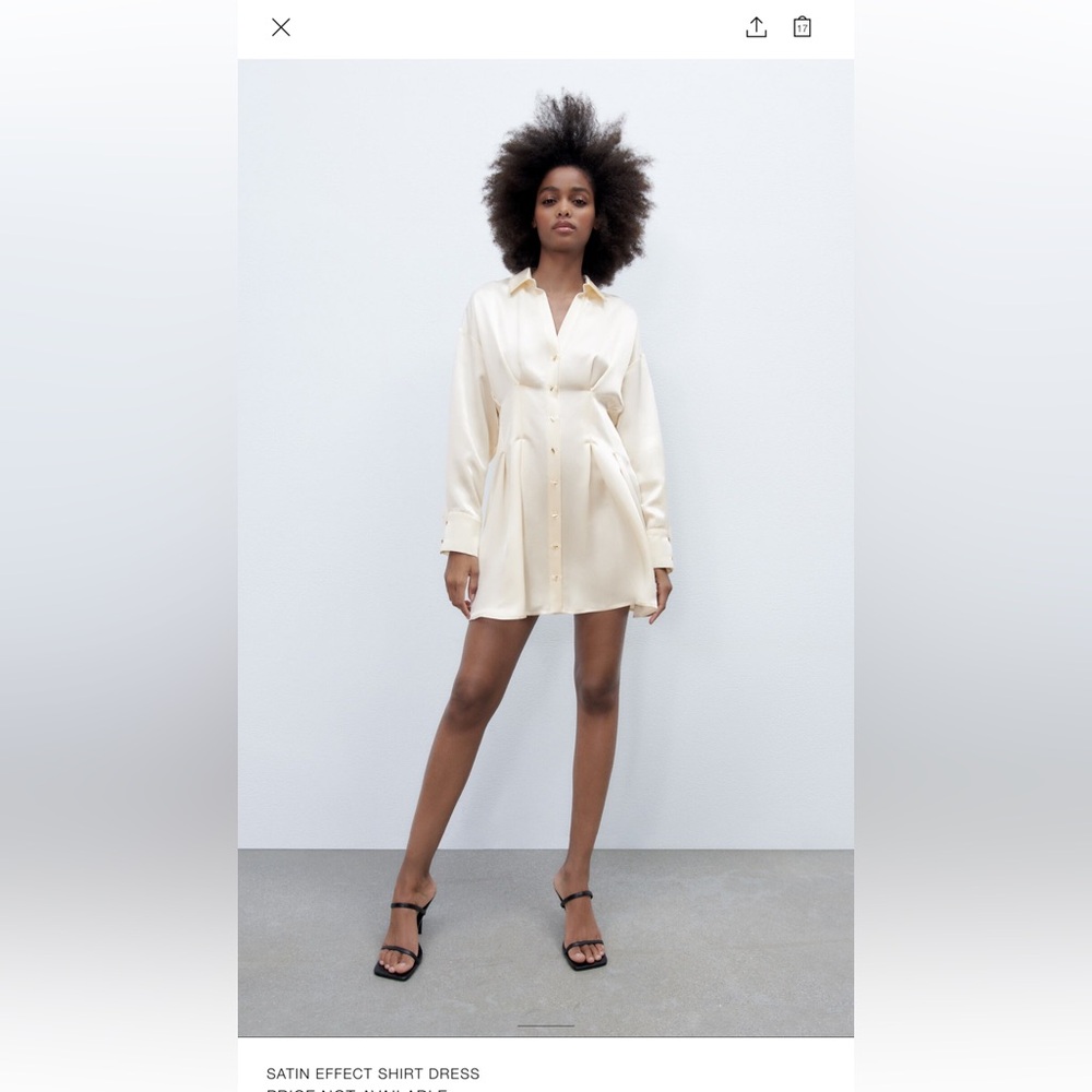 Zara Satin Dress, Brand New, Never Worn, No Tag